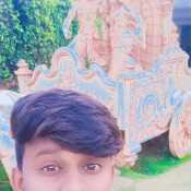 mravi37