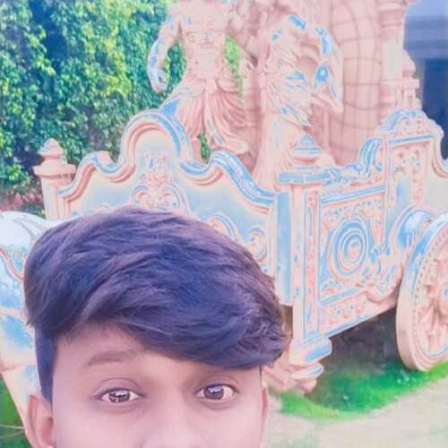 mravi37