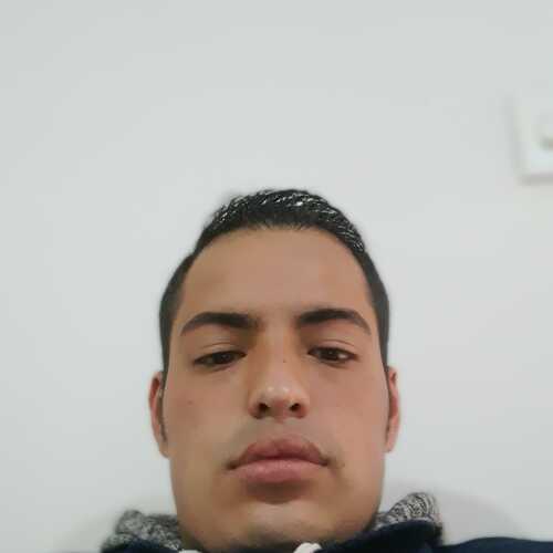 willi051