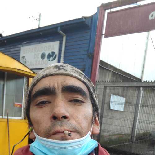 reneserran797