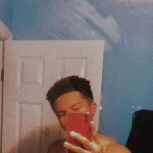 haydentfo536