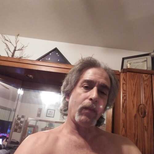 dani311
