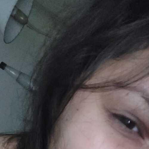 Cam