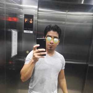 elpitorr679