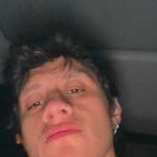 Sebzz