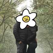 Damian81Tfe