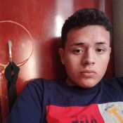 frankflores628