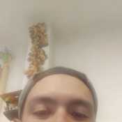 camil476