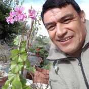 Checho401