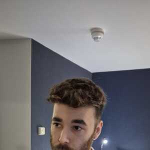 PlayfulBoss4131ff