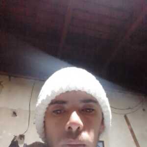 aleesil995
