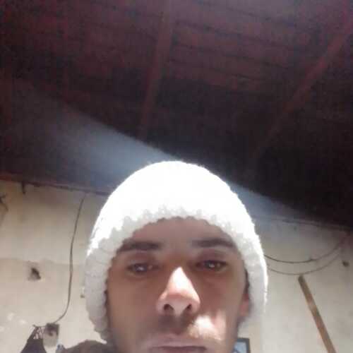 aleesil995