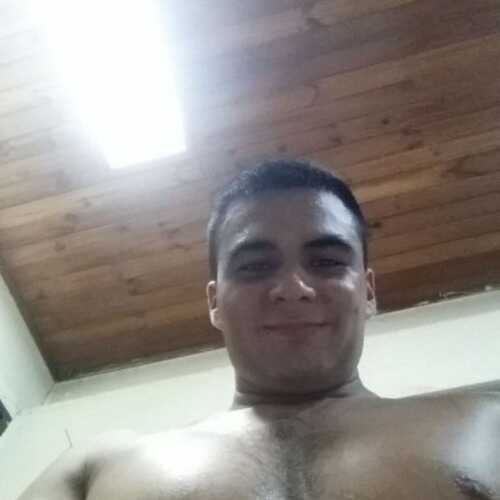 Wilmer17b