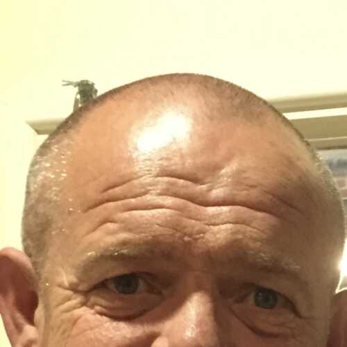 Bigal