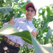 ruzescobarjordanedua352