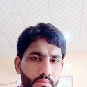 gulma668