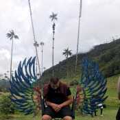 davidhenaol191