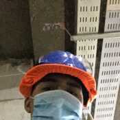 francis824