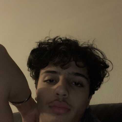 Jayden497