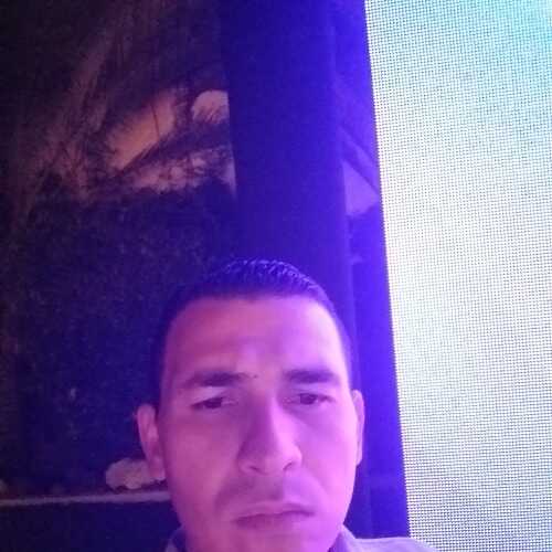 rube733