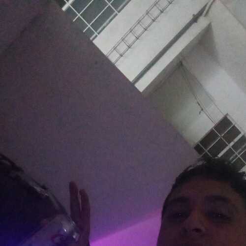 Alber463