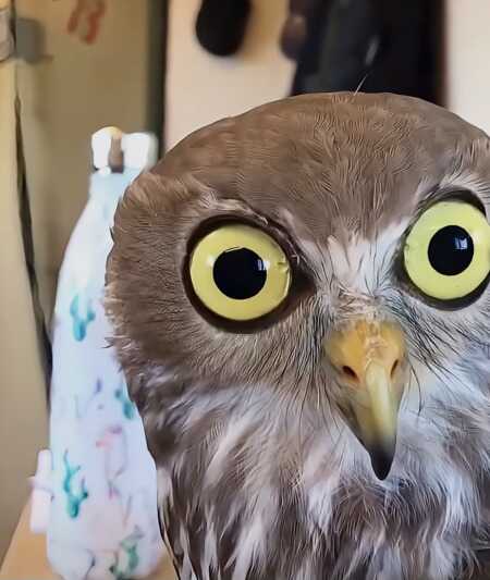 M1ch3ll3 profile photo