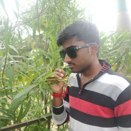 sunilin390