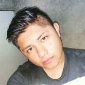terans751