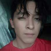 Raul294