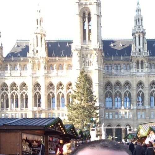 masterstrict88