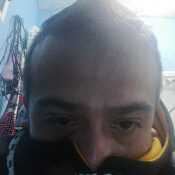 mesembergg810