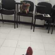 Gerardo