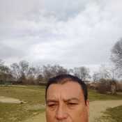 pirol723