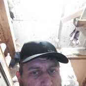 allbypie040
