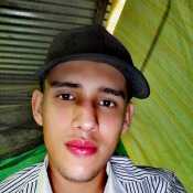 johand288