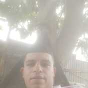 alexisaran520