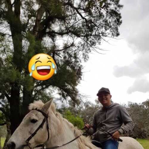 Elias874