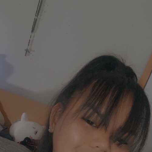 LovelyTrans 