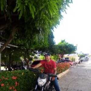 arge663