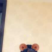 MistressLilith66