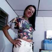 tatigisc266