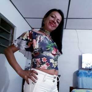 tatigisc266