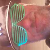dboy019
