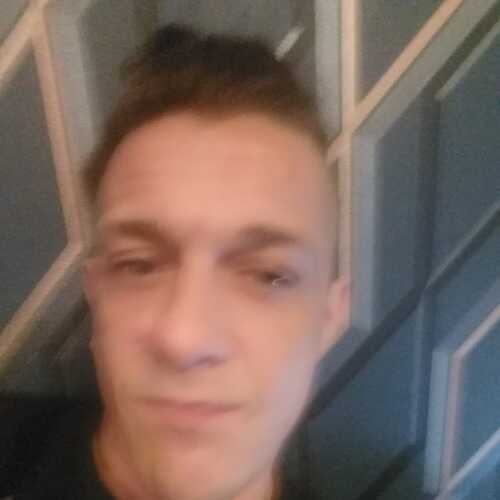 PoliteRebel74fc9b