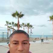 yovel36