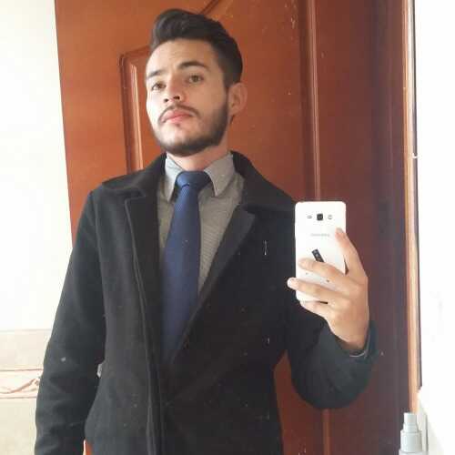 Davidlavayen