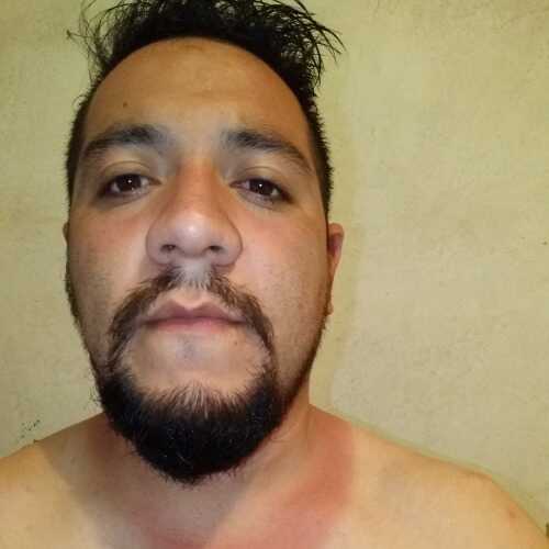 copia2020