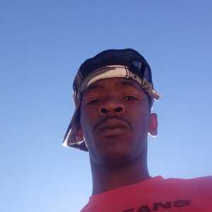 ThrillingShark43c8d2