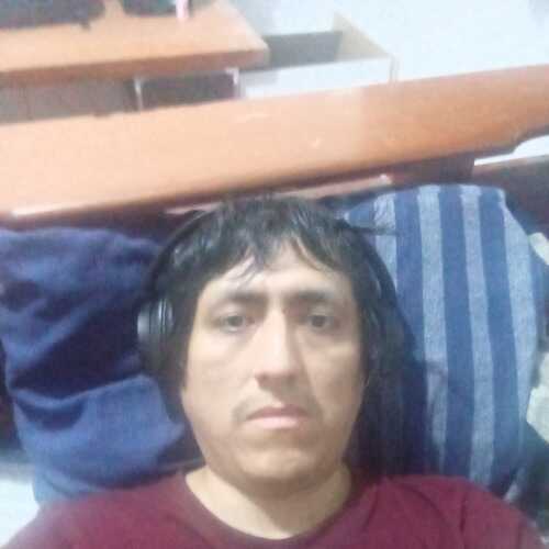 PerroLoco40