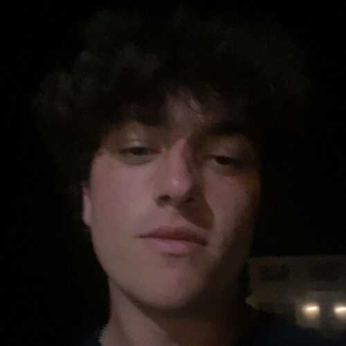 youngstallion